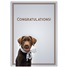 Congratulations GCD65135